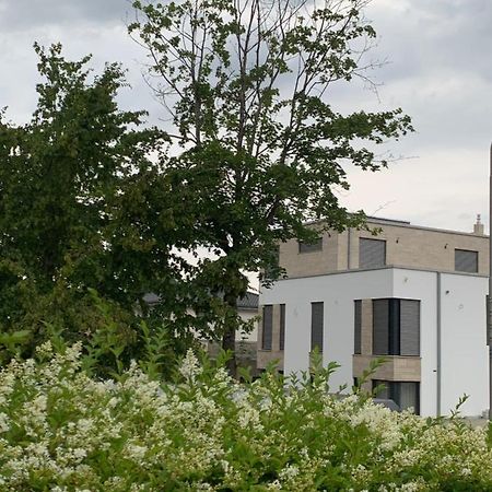 Mosaikhaus Smart Home Wurselen Exterior photo