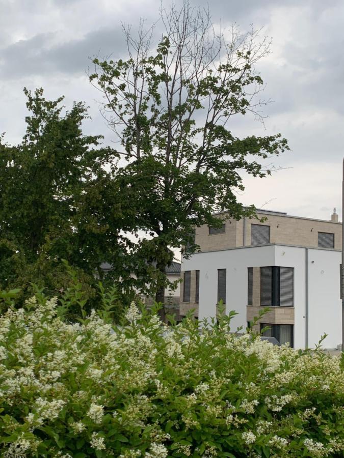 Mosaikhaus Smart Home Wurselen Exterior photo